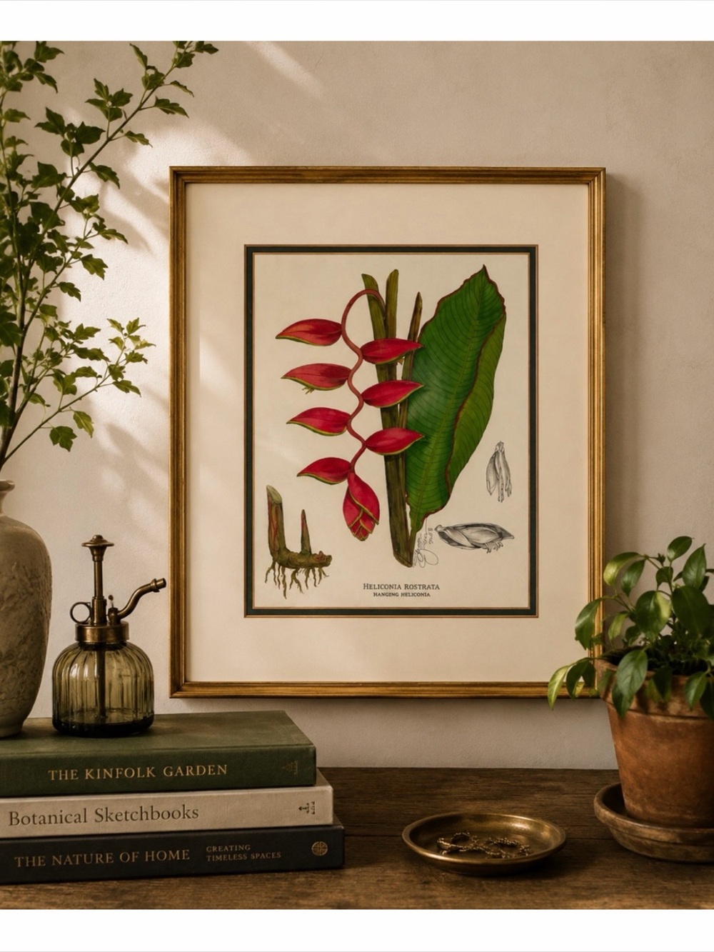 (NWOT) JOANNA CAROLAN • 2003 Signed Heliconia Rostrata Botanical Art Print